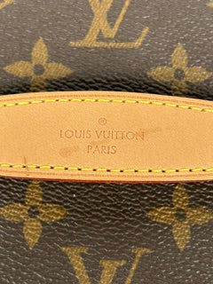 LOUIS VUITTON NICE BB