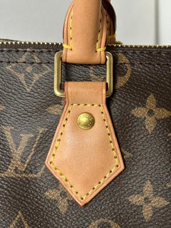 SPEEDY 25 MONOGRAM